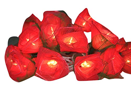 Red Roses Flower String Lights Floral,Patio,Fairy,Decor,Boy Girl Bedroom,Wedding, Lights