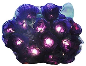 Purple Roses Flower String Lights Floral,Patio,Fairy,Decor,Boy Girl Bedroom,Wedding, Lights