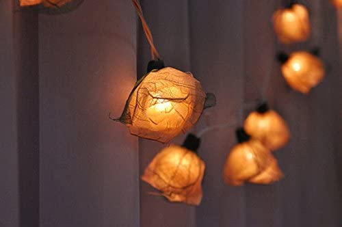 Off White Roses Flower String Lights Floral,Patio,Fairy,Decor,Boy Girl Bedroom,Wedding, Lights