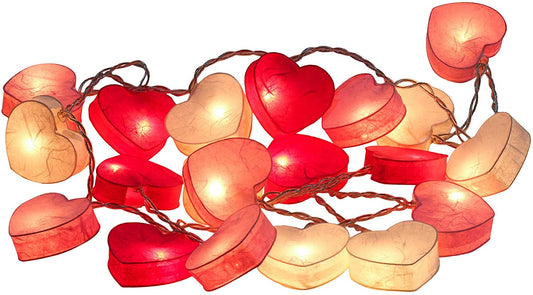 Pink Paper Lanterns Hearts String Fairy Lights Bedroom Home Decor Plug in